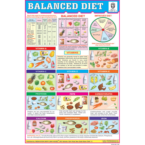 BALANCED DIET CHART SIZE 12X18 (INCHS) 300GSM ARTCARD