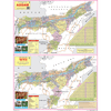 ASSAM POLITICAL COMBINED (ENG ASSAME) SIZE 45 X 57 CMS - Indian Book Depot (Map House)