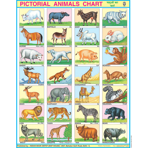 ANIMALS CHART SIZE 45 X 57 CMS - Indian Book Depot (Map House)