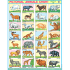 ANIMALS CHART SIZE 45 X 57 CMS - Indian Book Depot (Map House)