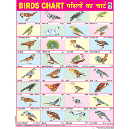 BIRDS CHART SIZE 45 X 57 CMS - Indian Book Depot (Map House)