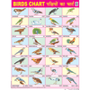BIRDS CHART SIZE 45 X 57 CMS - Indian Book Depot (Map House)