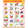 FLOWERS CHART SIZE 45 X 57 CMS - Indian Book Depot (Map House)