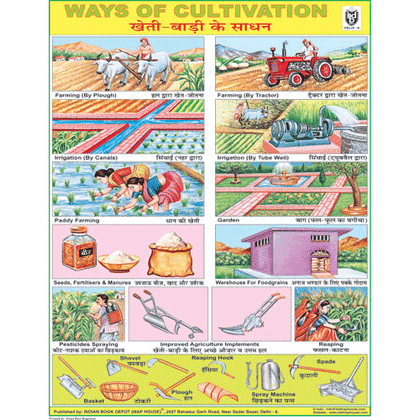 WAYS OF CULTIVATION CHART SIZE 45 X 57 CMS - Indian Book Depot (Map House)
