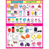 COLOURS & SHAPES CHART SIZE 45 X 57 CMS - Indian Book Depot (Map House)