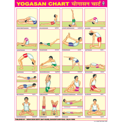 YOGASAN CHART SIZE 45 X 57 CMS