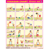 YOGASAN CHART SIZE 45 X 57 CMS - Indian Book Depot (Map House)