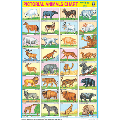 ANIMALS (32 PHOTOS) CHART SIZE 50 X 75 CMS - Indian Book Depot (Map House)