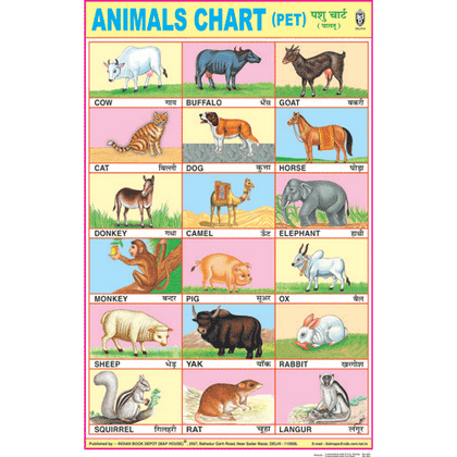 ANIMALS CHART (PET) CHART SIZE 50 X 75 CMS - Indian Book Depot (Map House)