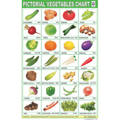 VEGETABLES CHART SIZE 50 X 75 CMS - Indian Book Depot (Map House)