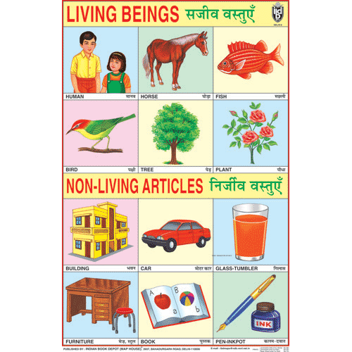 LIVING   NON LIVING ARTICLES CHART SIZE 50 X 75 CMS - Indian Book Depot (Map House)