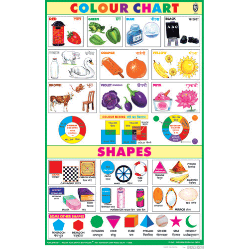 COLOUR & SHAPES CHART SIZE 50 X 75 CMS - Indian Book Depot (Map House)