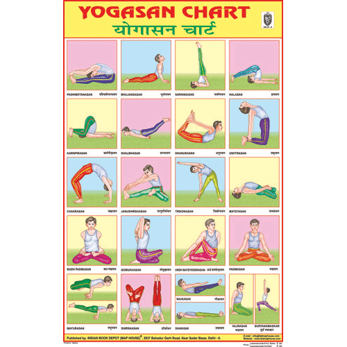 YOGASAN CHART CHART SIZE 50 X 75 CMS