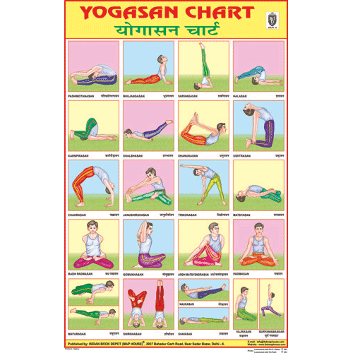 YOGASAN CHART CHART SIZE 50 X 75 CMS - Indian Book Depot (Map House)