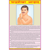 LIFE HISTORY OF CHANDRA SHEKHAR AZAD CHART SIZE 50 X 75 CMS - Indian Book Depot (Map House)