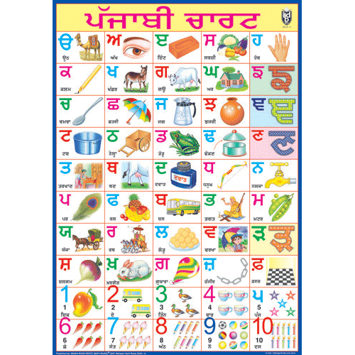 PUNJABI ALPHABET CHART SIZE 50 X 75 CMS - Indian Book Depot (Map House)