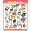 ANIMALS CHART SIZE 55 X 70 CMS - Indian Book Depot (Map House)