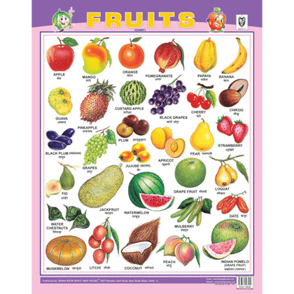 FRUITS CHART SIZE 55 X 70 CMS - Indian Book Depot (Map House)