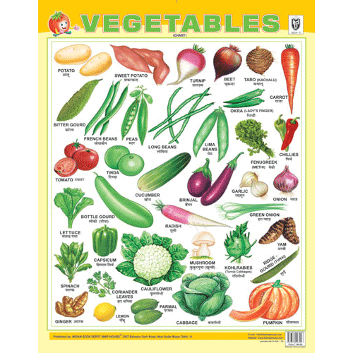 VEGETABLES CHART SIZE 55 X 70 CMS - Indian Book Depot (Map House)