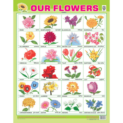 OUR FLOWERS CHART SIZE 55 X 70 CMS - Indian Book Depot (Map House)