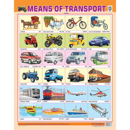 MEANS OF TRANSPORT CHART SIZE 55 X 70 CMS - Indian Book Depot (Map House)