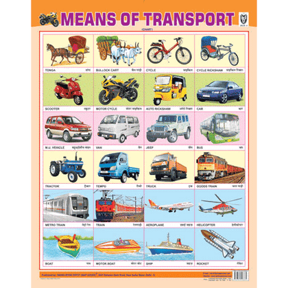 MEANS OF TRANSPORT CHART SIZE 55 X 70 CMS - Indian Book Depot (Map House)
