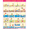 YOGASAN CHART SIZE 55 X 70 CMS - Indian Book Depot (Map House)