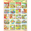 POLLUTION & ENVIRONMENT CHART SIZE 55 X 70 CMS - Indian Book Depot (Map House)