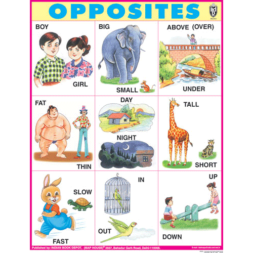 Opposite Chart With Pictures