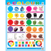 COLOURS CHART SIZE 55 X 70 CMS - Indian Book Depot (Map House)