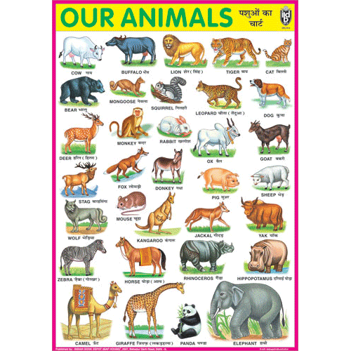 OUR ANIMALS CHART SIZE 70 X 100 CMS - Indian Book Depot (Map House)
