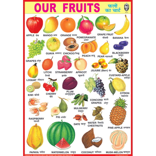 OUR FRUITS CHART SIZE 70 X 100 CMS - Indian Book Depot (Map House)