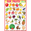 OUR FRUITS CHART SIZE 70 X 100 CMS - Indian Book Depot (Map House)