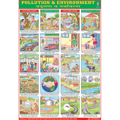 POLLUTION & ENVIRONMENT CHART CHART SIZE 70 X 100 CMS - Indian Book Depot (Map House)