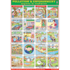 POLLUTION & ENVIRONMENT CHART CHART SIZE 70 X 100 CMS - Indian Book Depot (Map House)