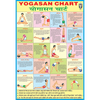 YOGASAN CHART CHART SIZE 70 X 100 CMS - Indian Book Depot (Map House)