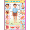 PARTS OF THE BODY CHART SIZE 70 X 100 CMS - Indian Book Depot (Map House)
