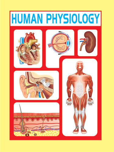 HUMAN PHYSIOLOGY